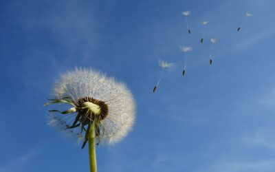 September ’19 – New Winds at G.A.P.